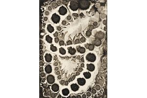 Vladislav Mirvald - Kaòkáž